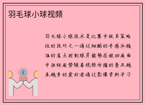 羽毛球小球视频